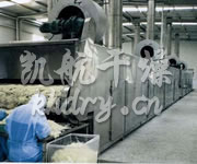 DWC系列脱水蔬菜带式干燥机