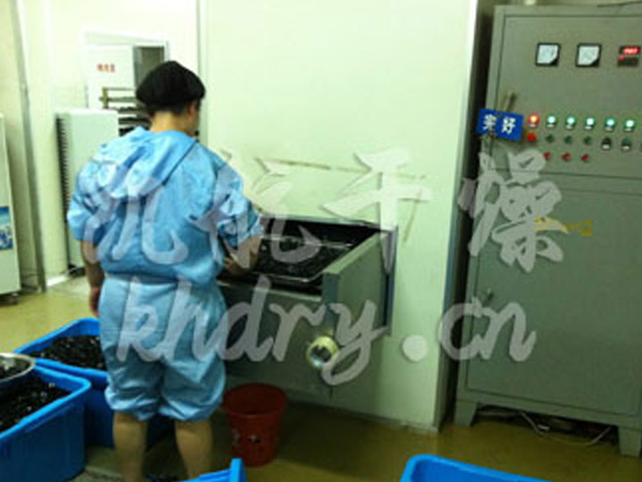 医用胶塞烘干生产线