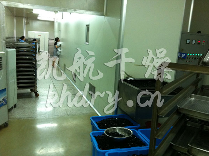 烘干医用胶塞系列